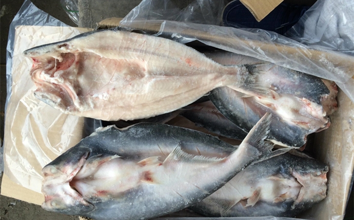進口巴沙魚清關代理一點都不難，只要你準備好這些資料